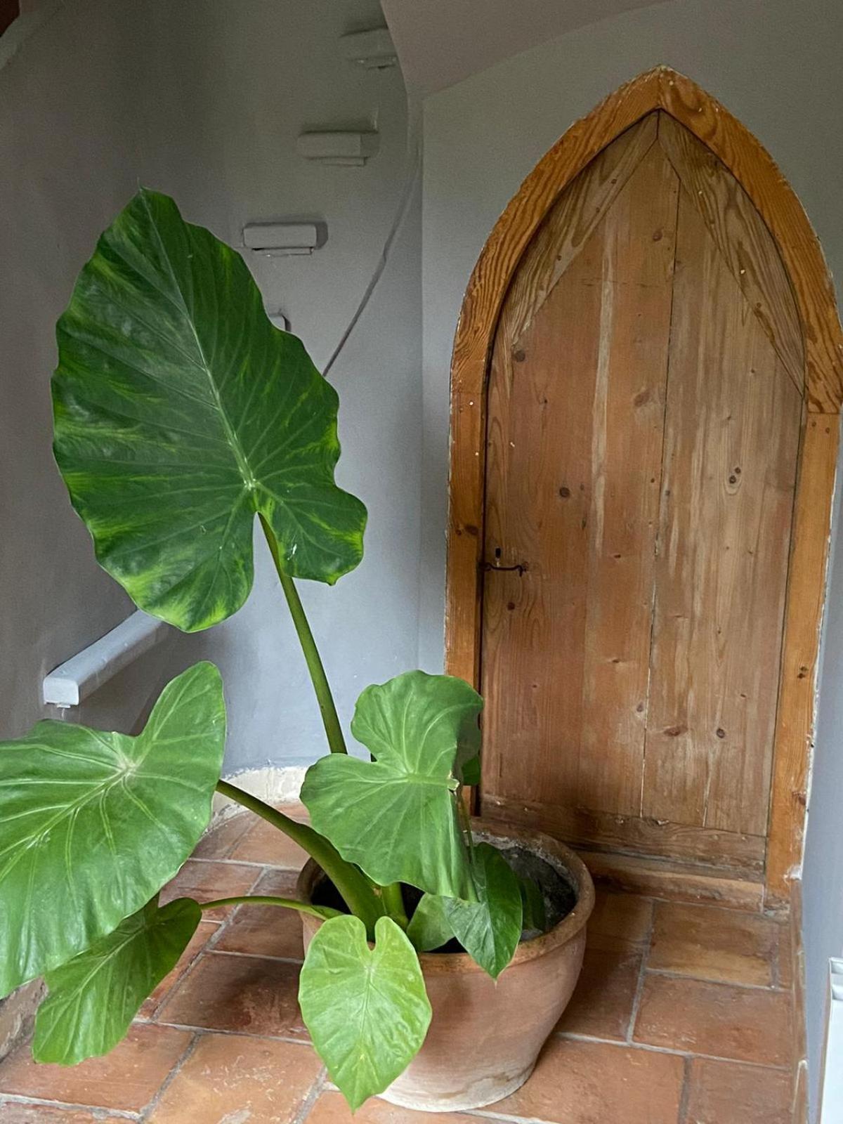 Mas Carita Bed & Breakfast Cabannes Exterior foto